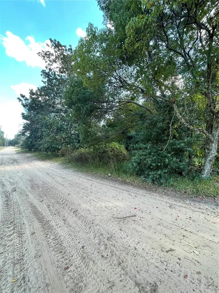 20180 SE 141st Street Umatilla FL 32784