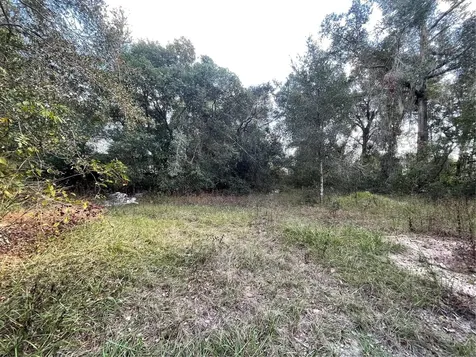 20180 SE 141st Street Umatilla FL 32784