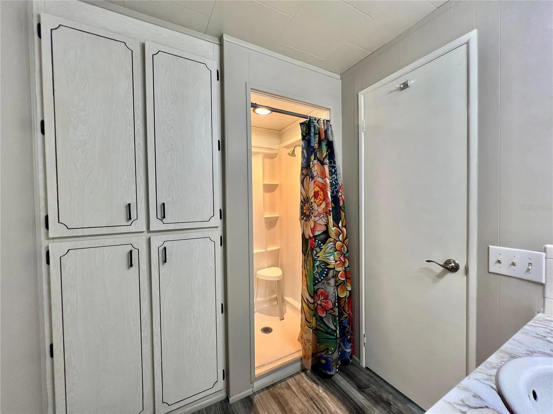 108 Audubon Drive Leesburg FL 34748