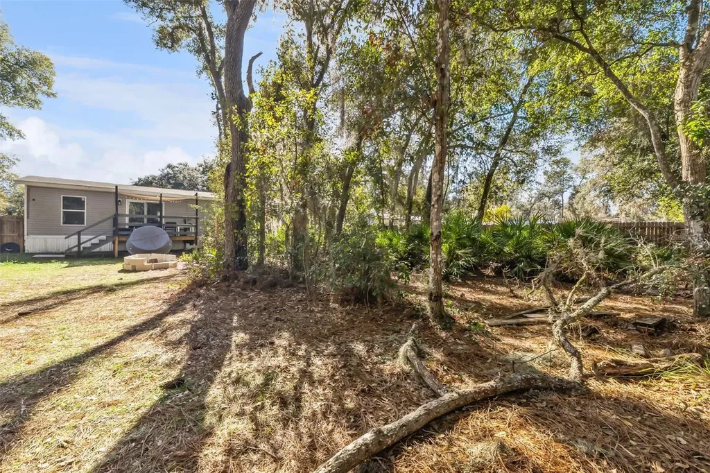 231 Tropic Avenue Satsuma FL 32189