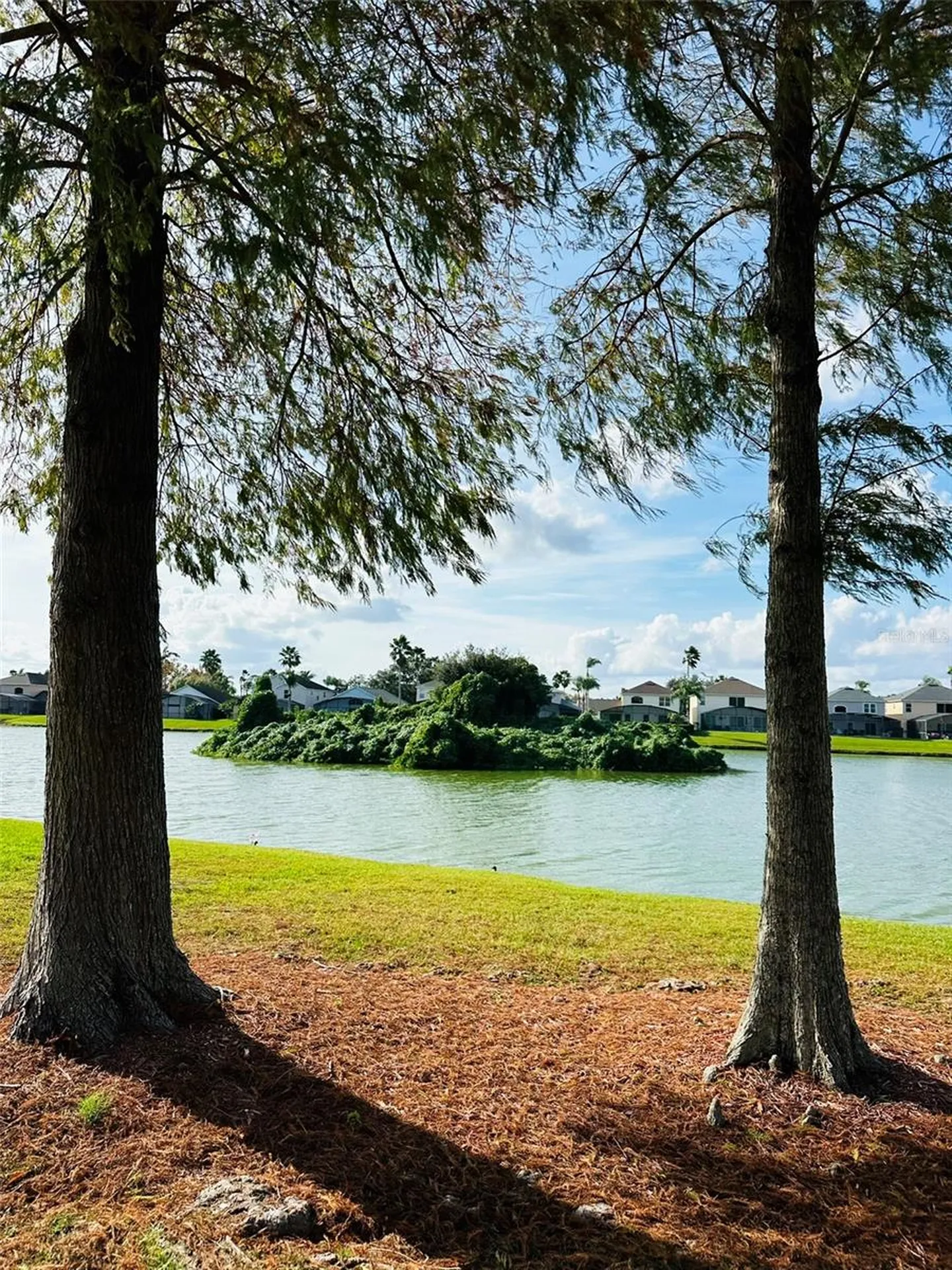 1049 Lake Berkley Drive Kissimmee FL 34746