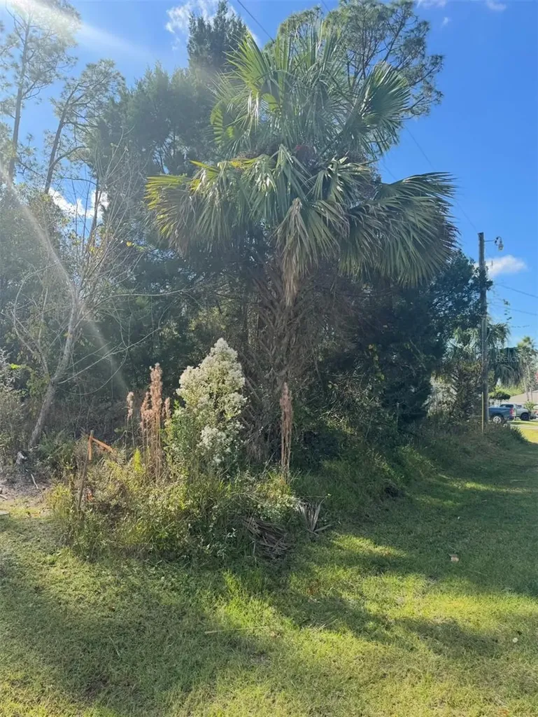38 Sleepy Hollow Trail Palm Coast FL 32164