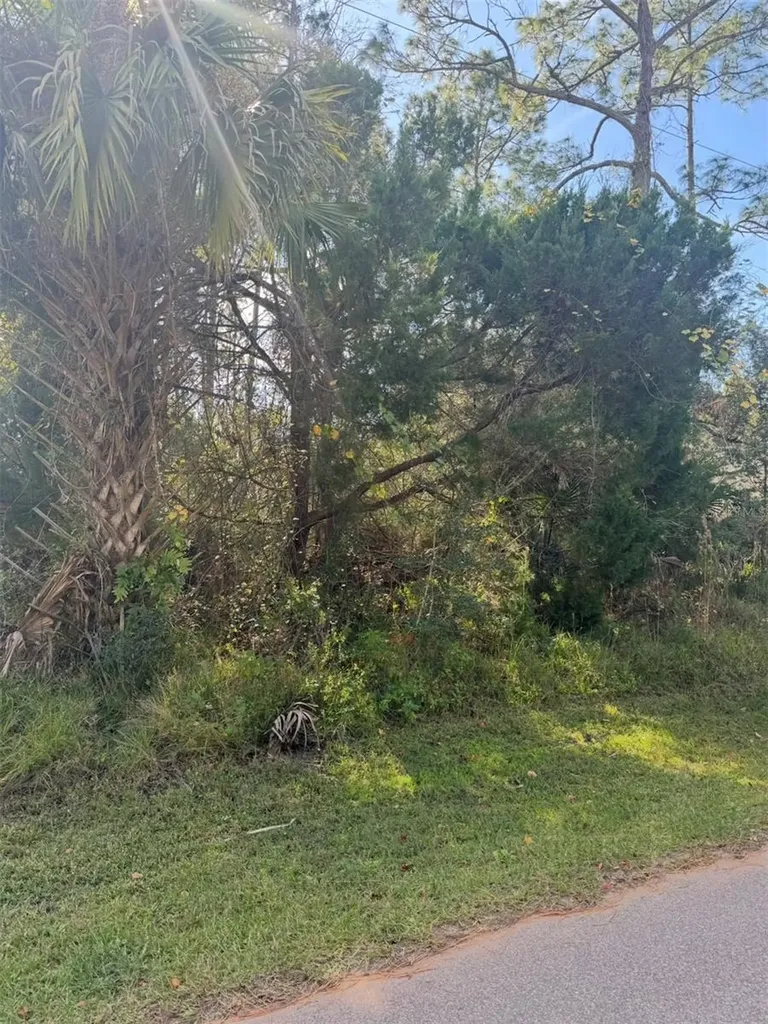 38 Sleepy Hollow Trail Palm Coast FL 32164