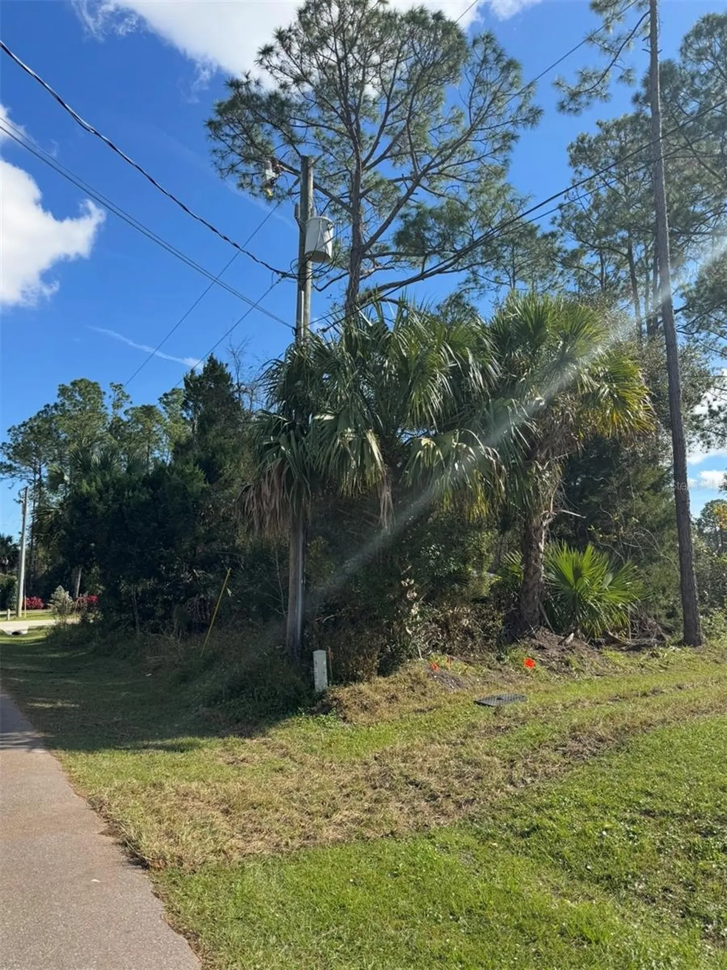 38 Sleepy Hollow Trail Palm Coast FL 32164