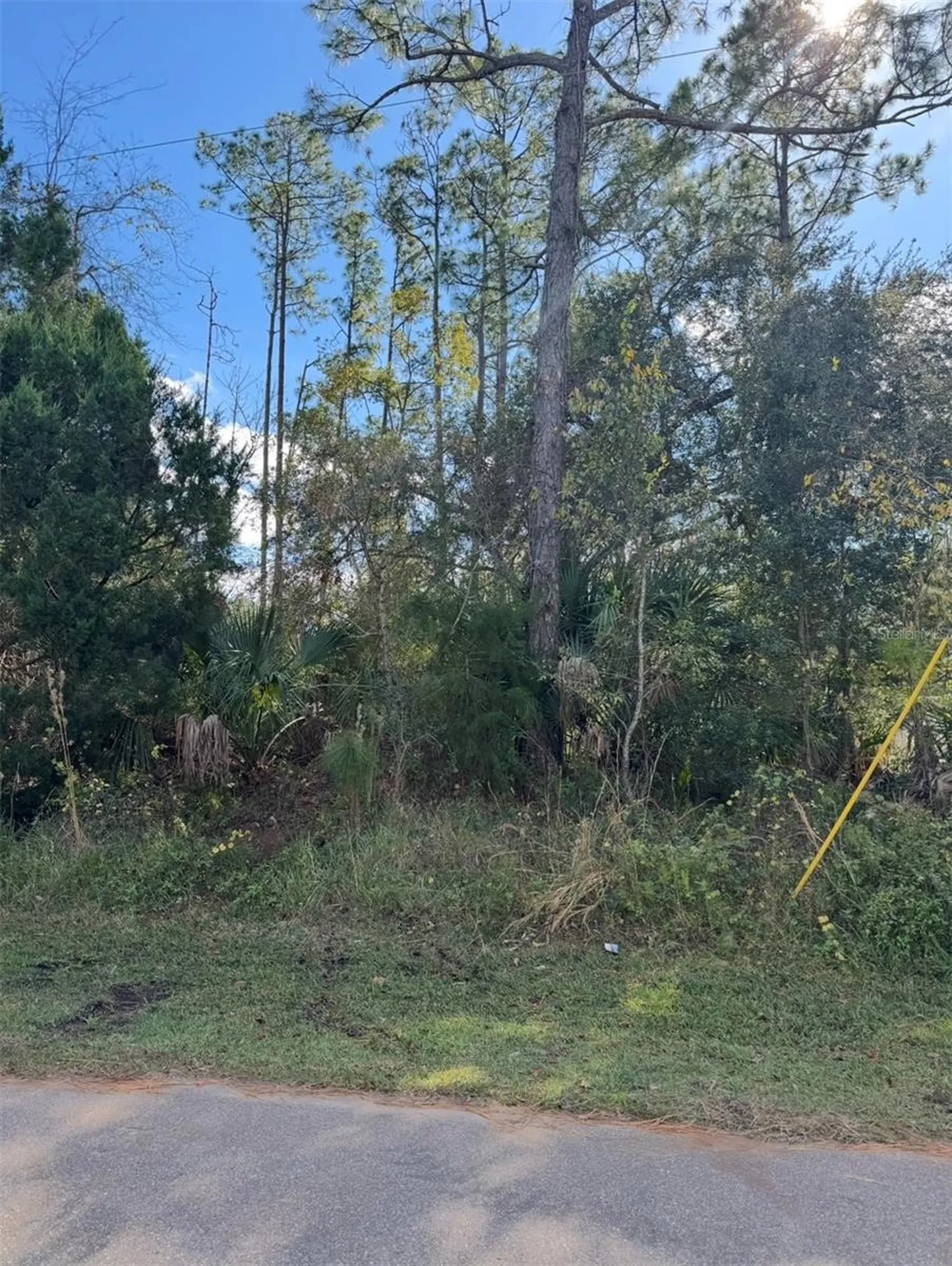 38 Sleepy Hollow Trail Palm Coast FL 32164