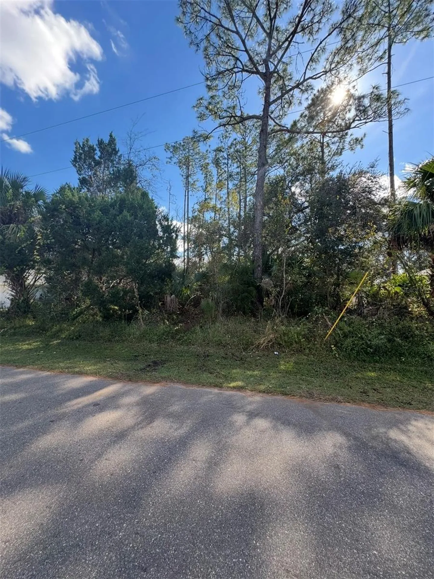 38 Sleepy Hollow Trail Palm Coast FL 32164