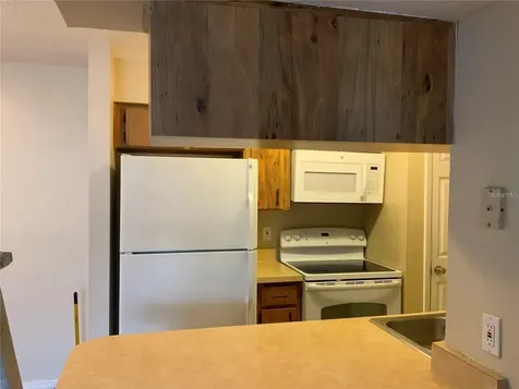 233 Red Maple Place Brandon FL 33510