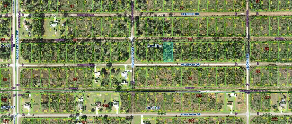 218 Valencia Drive Indian Lake Estates FL 33855
