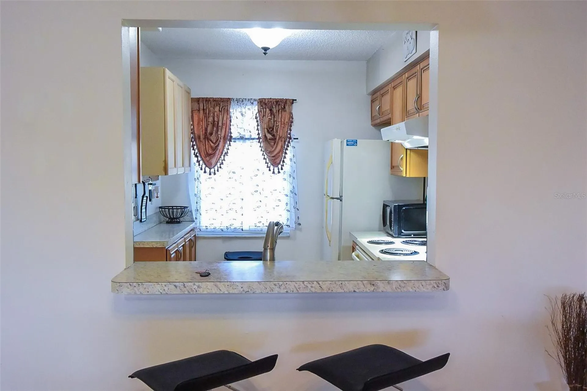 11110 Carriage Hill Drive Port Richey FL 34668
