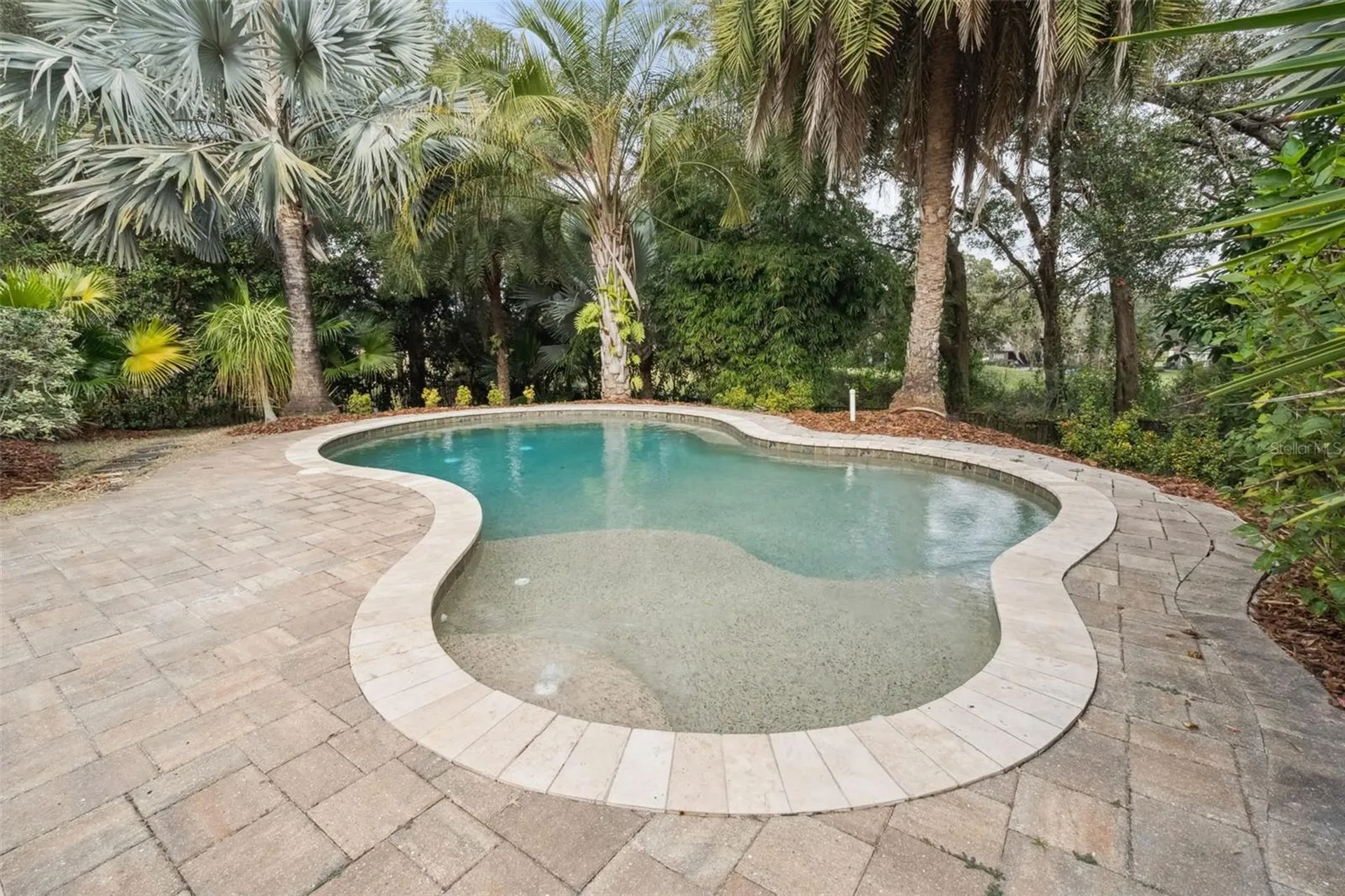 833 Rock Creek Street Apopka FL 32712