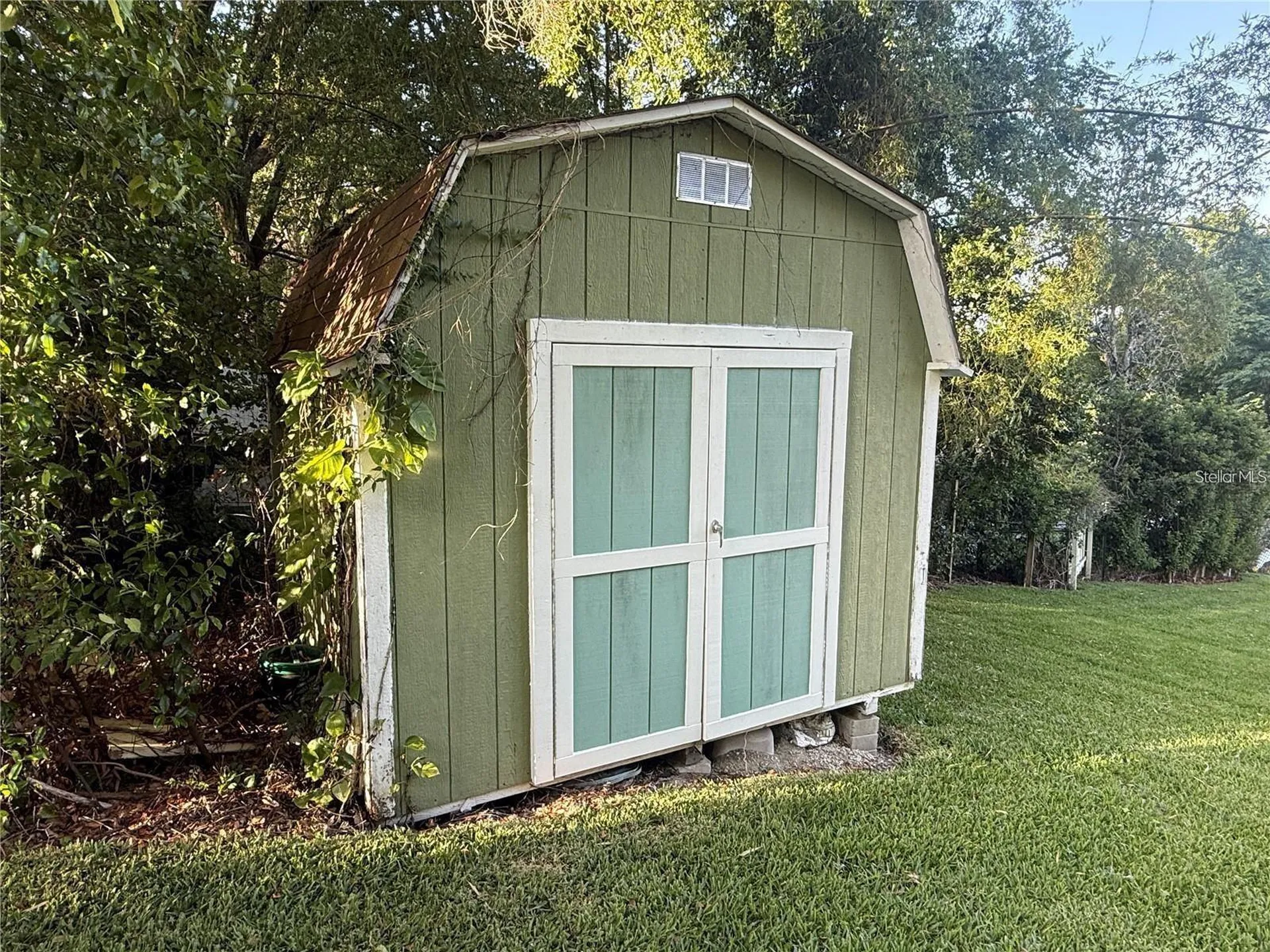 1765 Hilltop Drive Mount Dora FL 32757