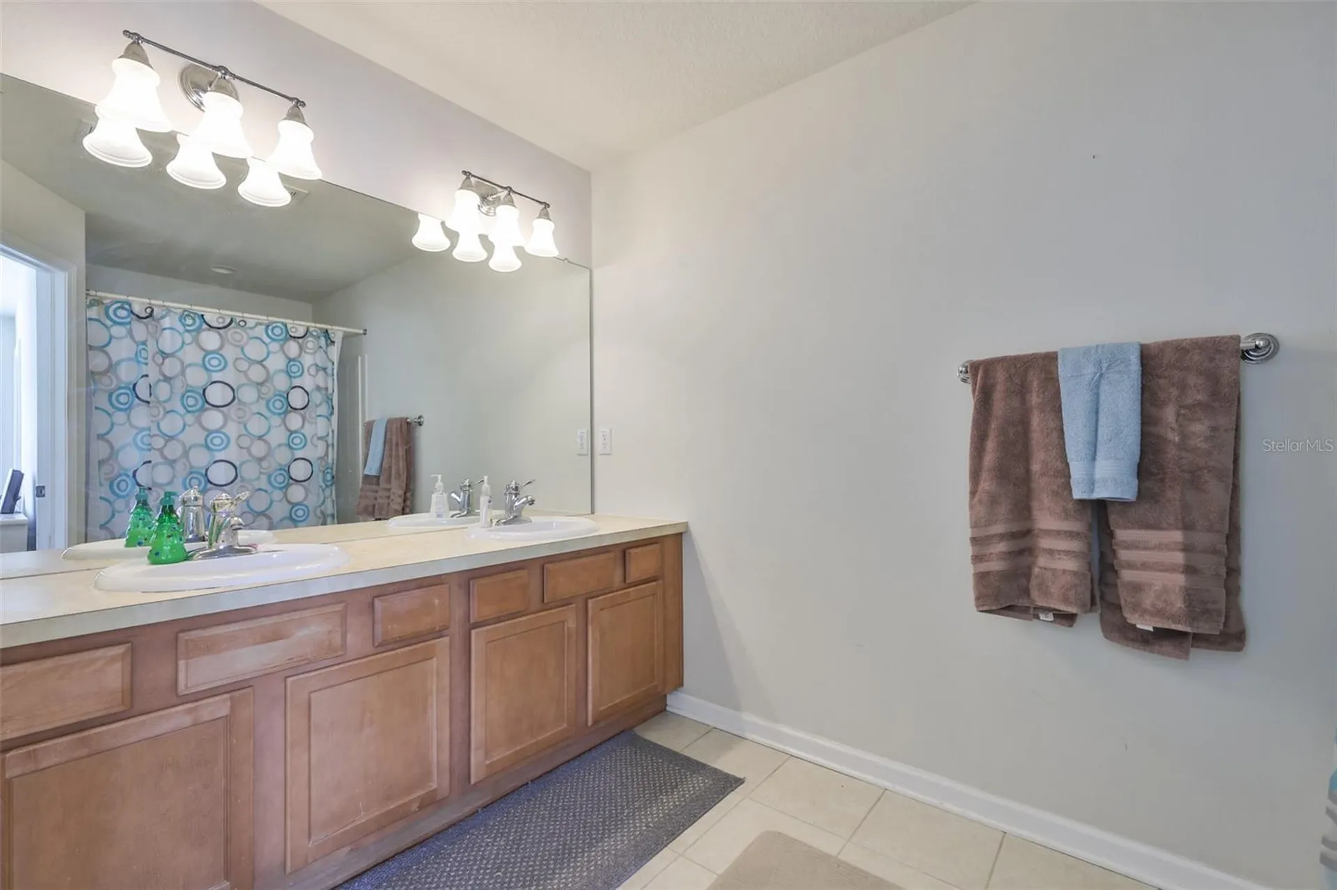 10141 Post Harvest Drive Riverview FL 33578