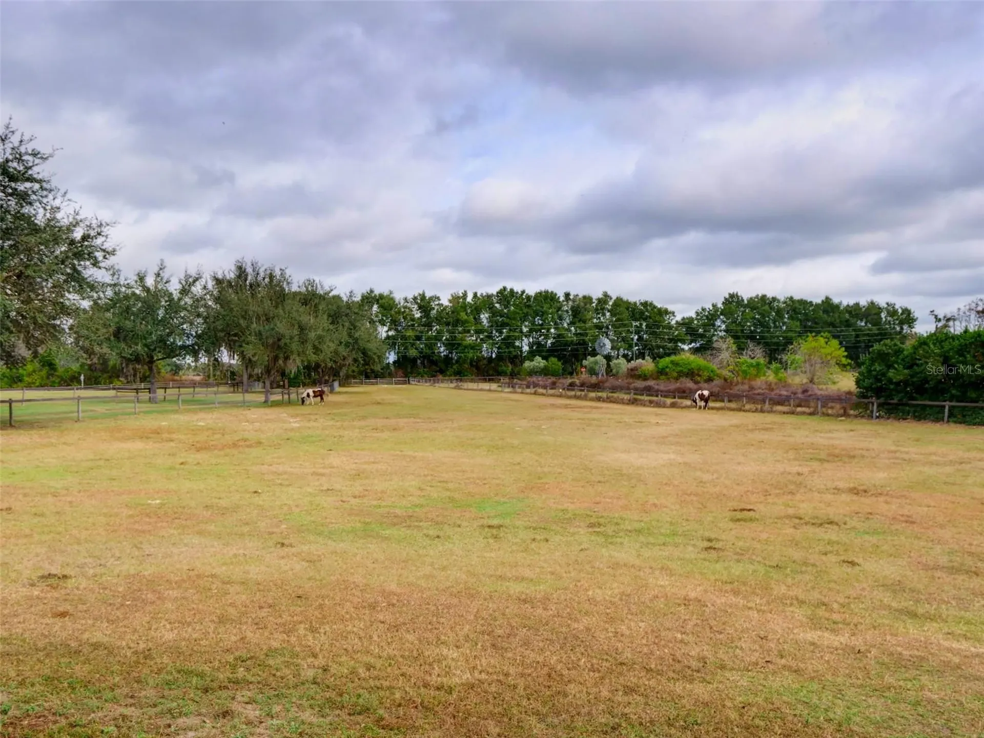 1765 E Cr 462 Wildwood FL 34785