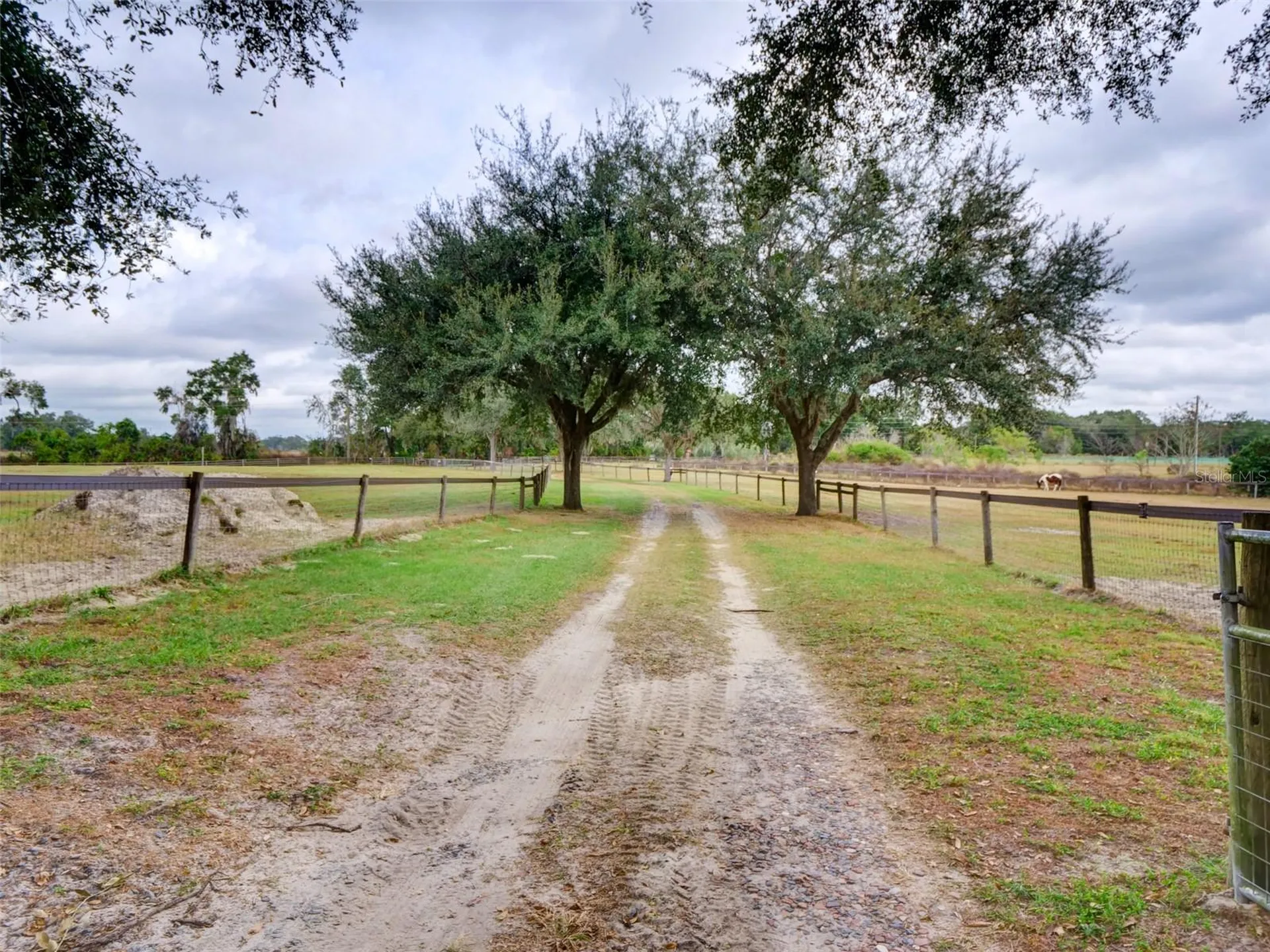 1765 E Cr 462 Wildwood FL 34785