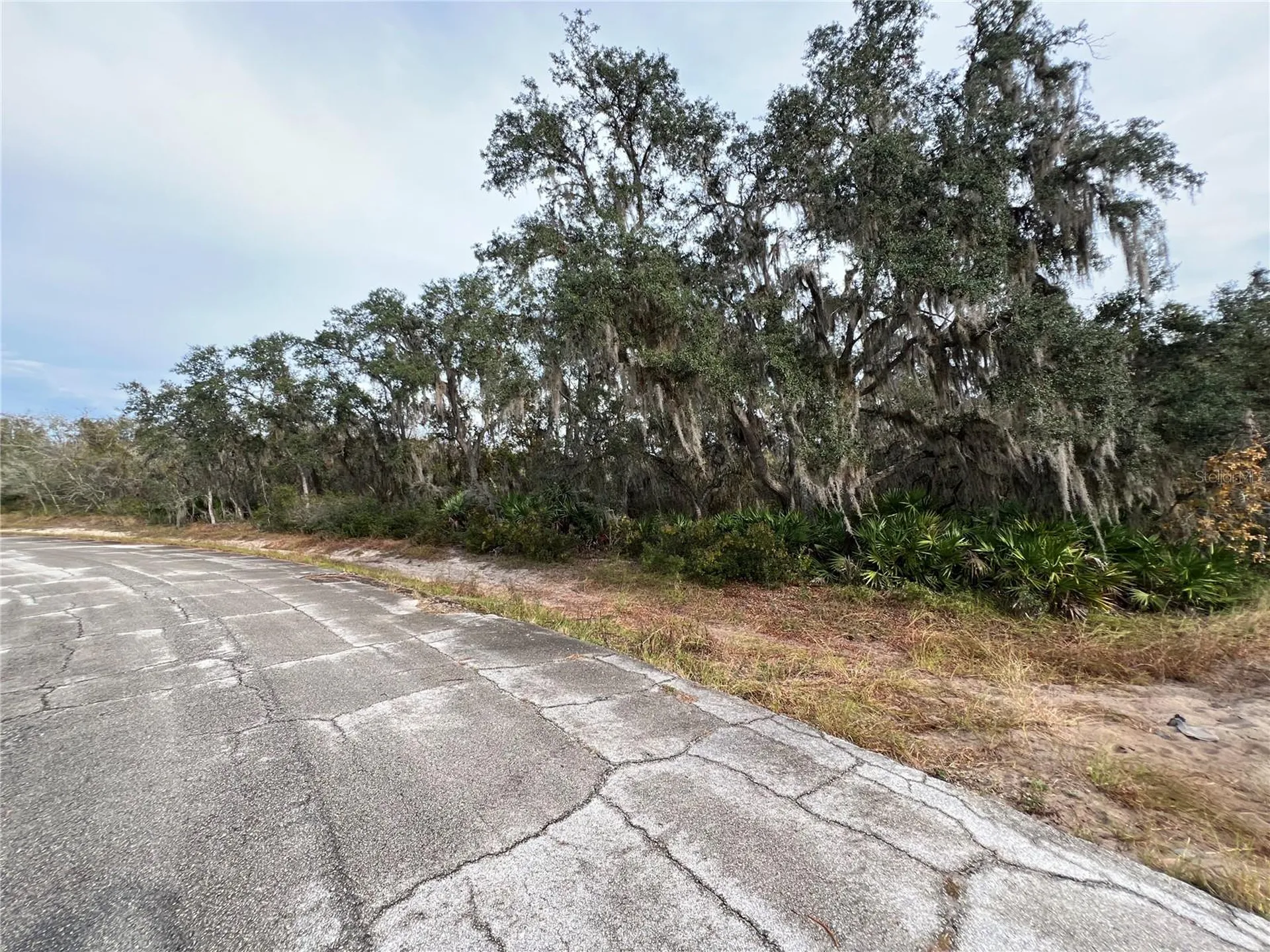 1251 Baltic Drive Kissimmee FL 34759