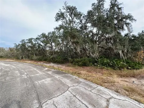 1251 Baltic Drive Kissimmee FL 34759