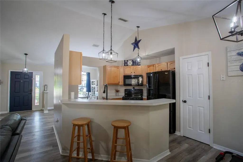 33809 Silver Pine Drive Leesburg FL 34788