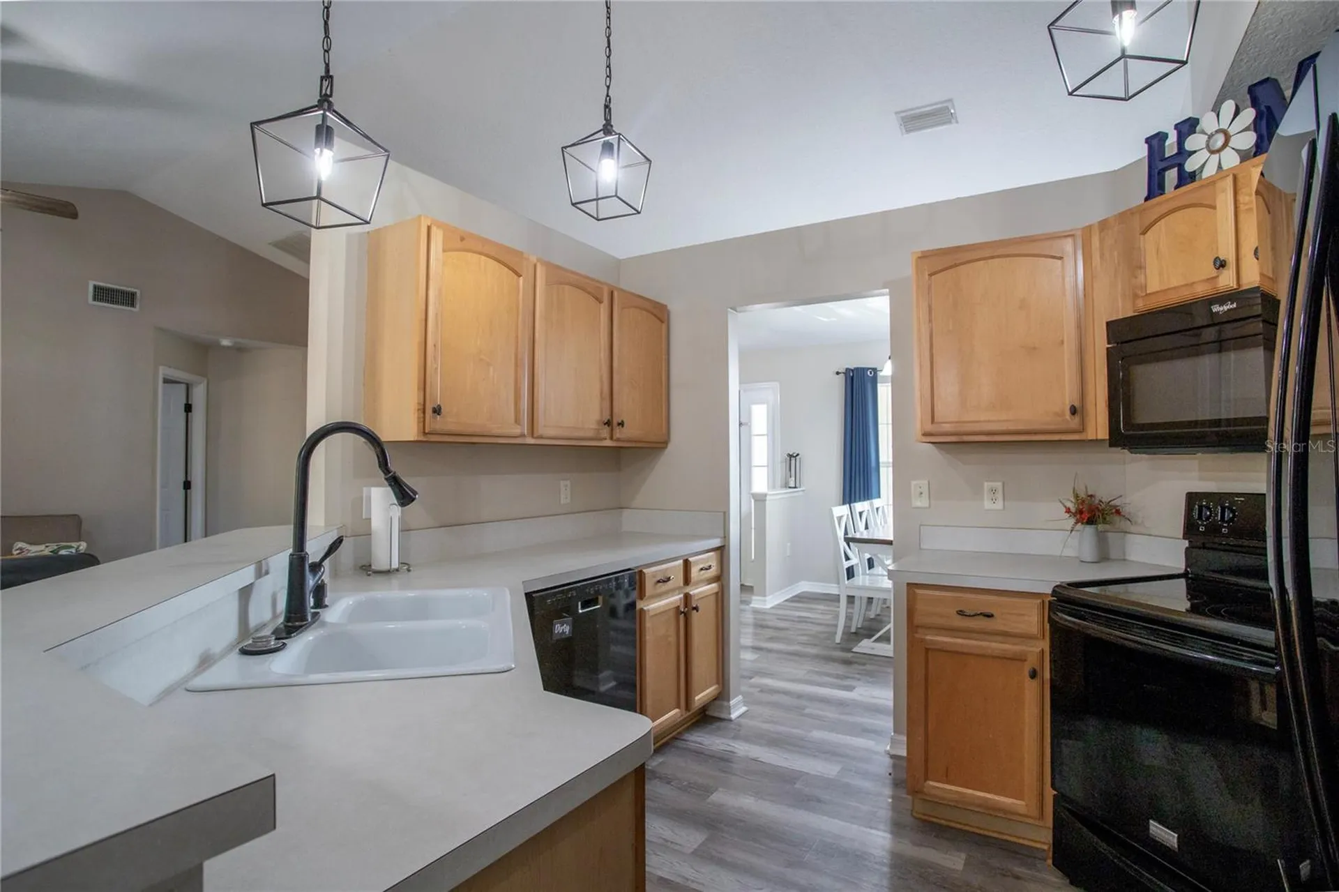 33809 Silver Pine Drive Leesburg FL 34788