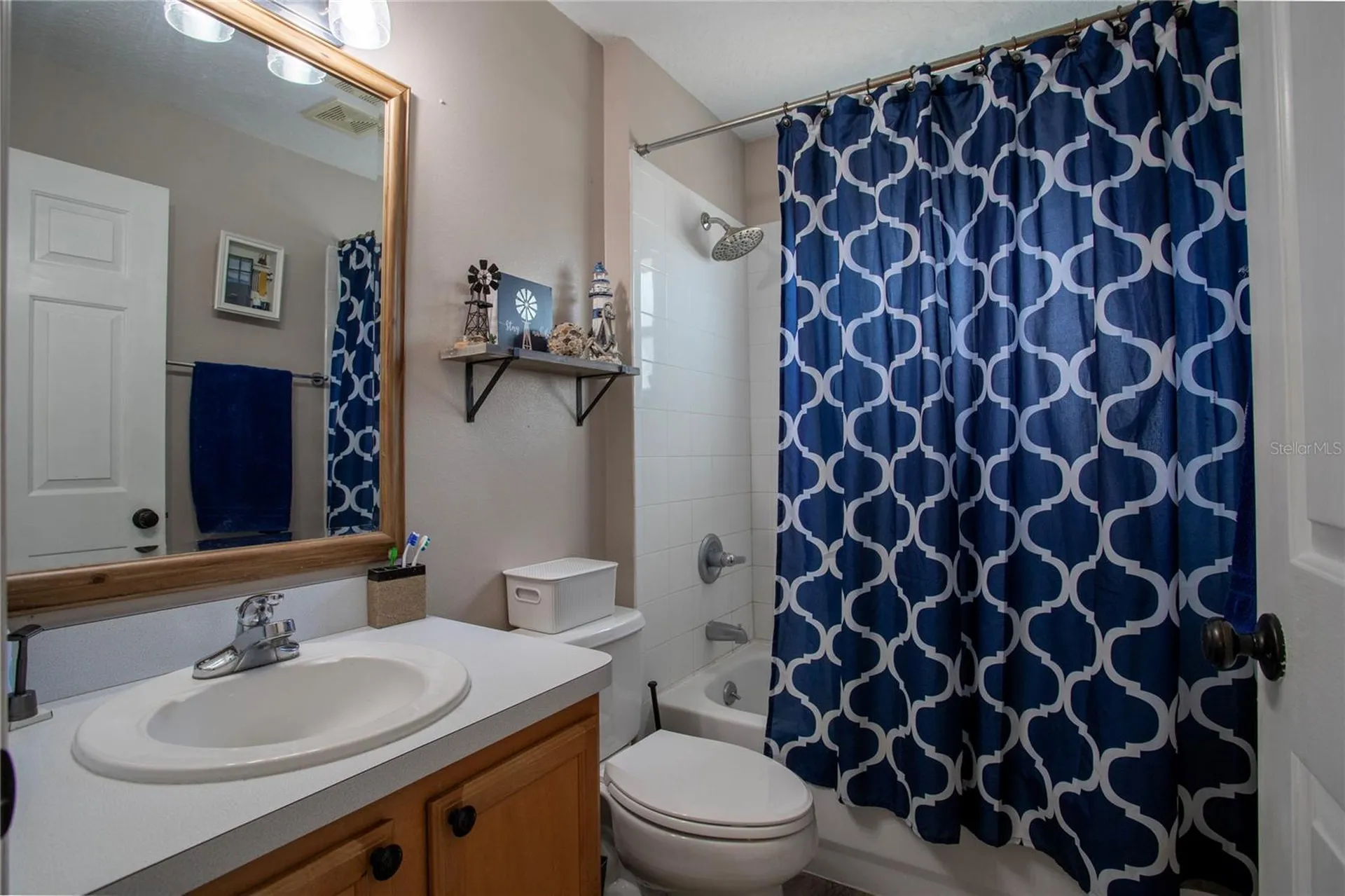 33809 Silver Pine Drive Leesburg FL 34788