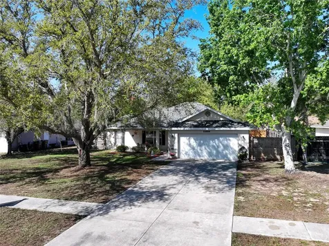 33809 Silver Pine Drive Leesburg FL 34788