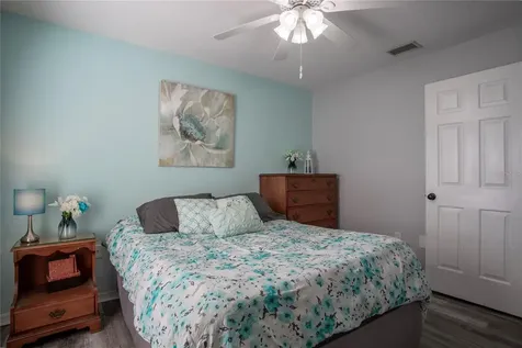 33809 Silver Pine Drive Leesburg FL 34788