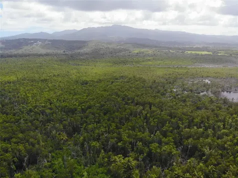 968 Camino Las Picuas Rio Grande PR 00745