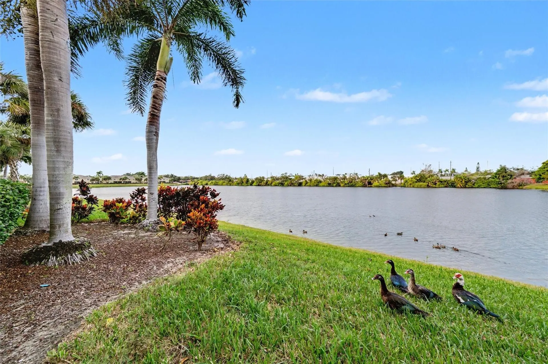 3505 45th Terrace W Bradenton FL 34210