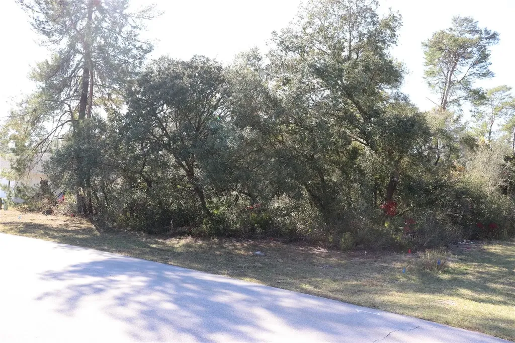 Tbd Marion Oaks Golf Road Ocala FL 34473