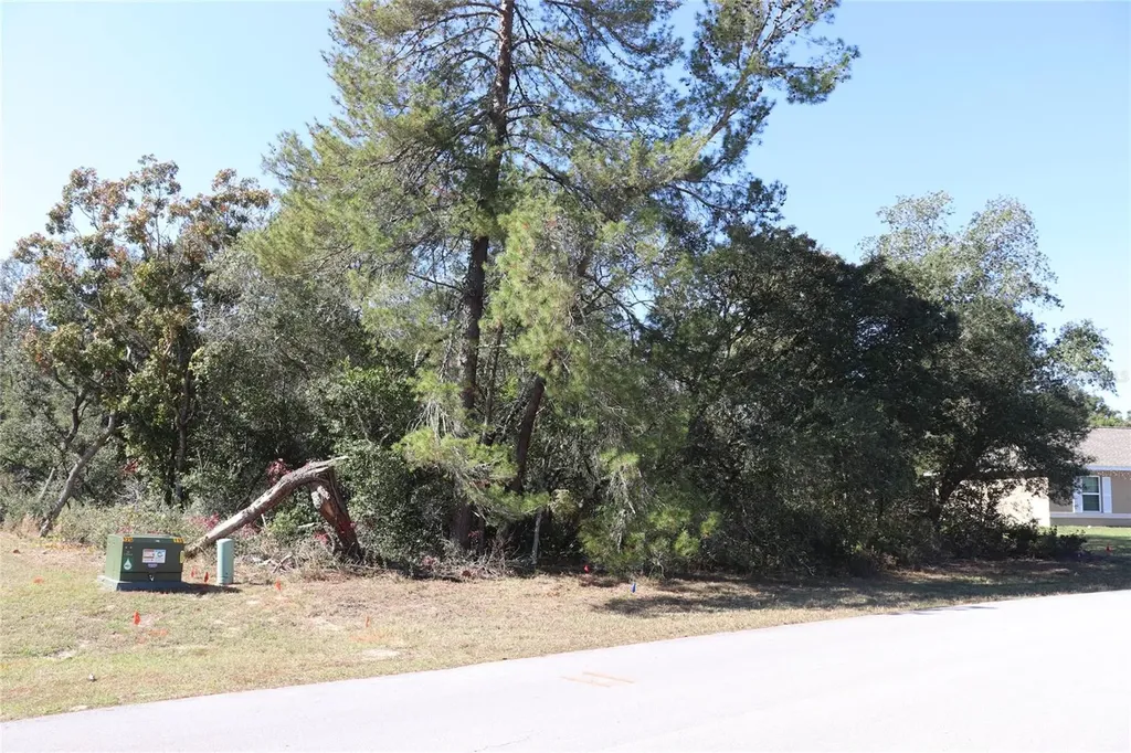 Tbd Marion Oaks Golf Road Ocala FL 34473