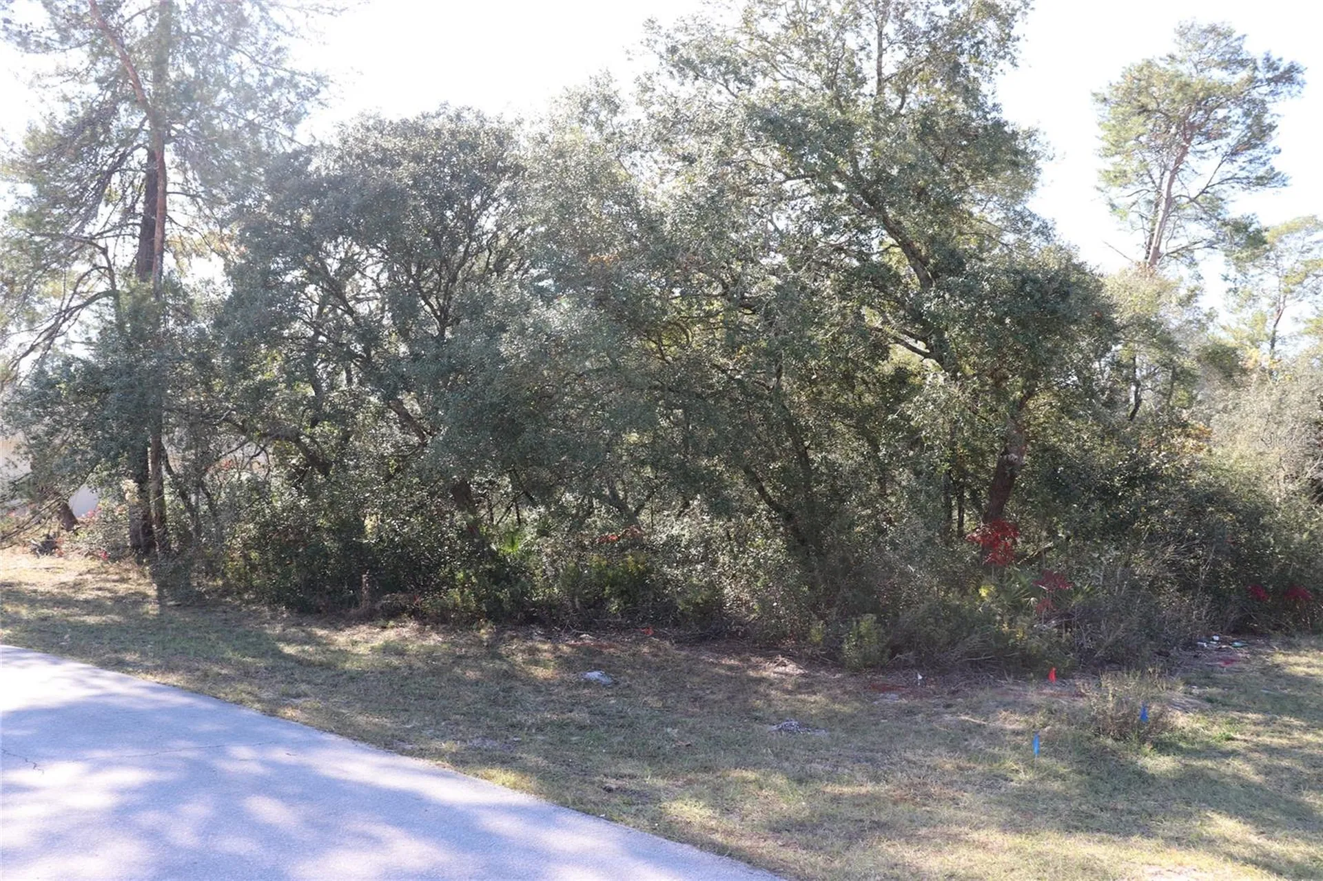 Tbd Marion Oaks Golf Road Ocala FL 34473