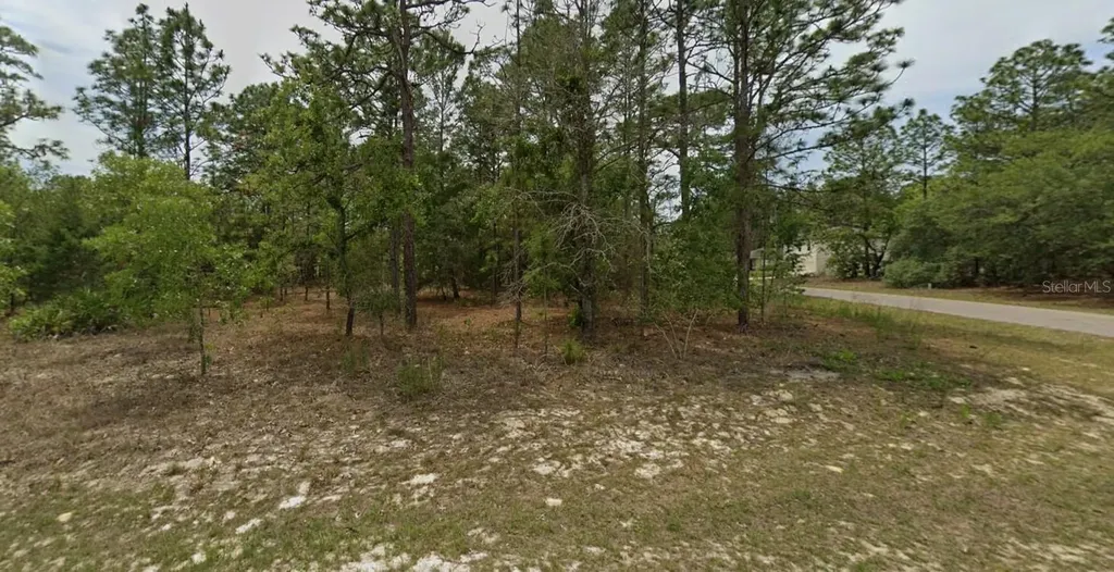7488 N Galt Point Citrus Springs FL 34434