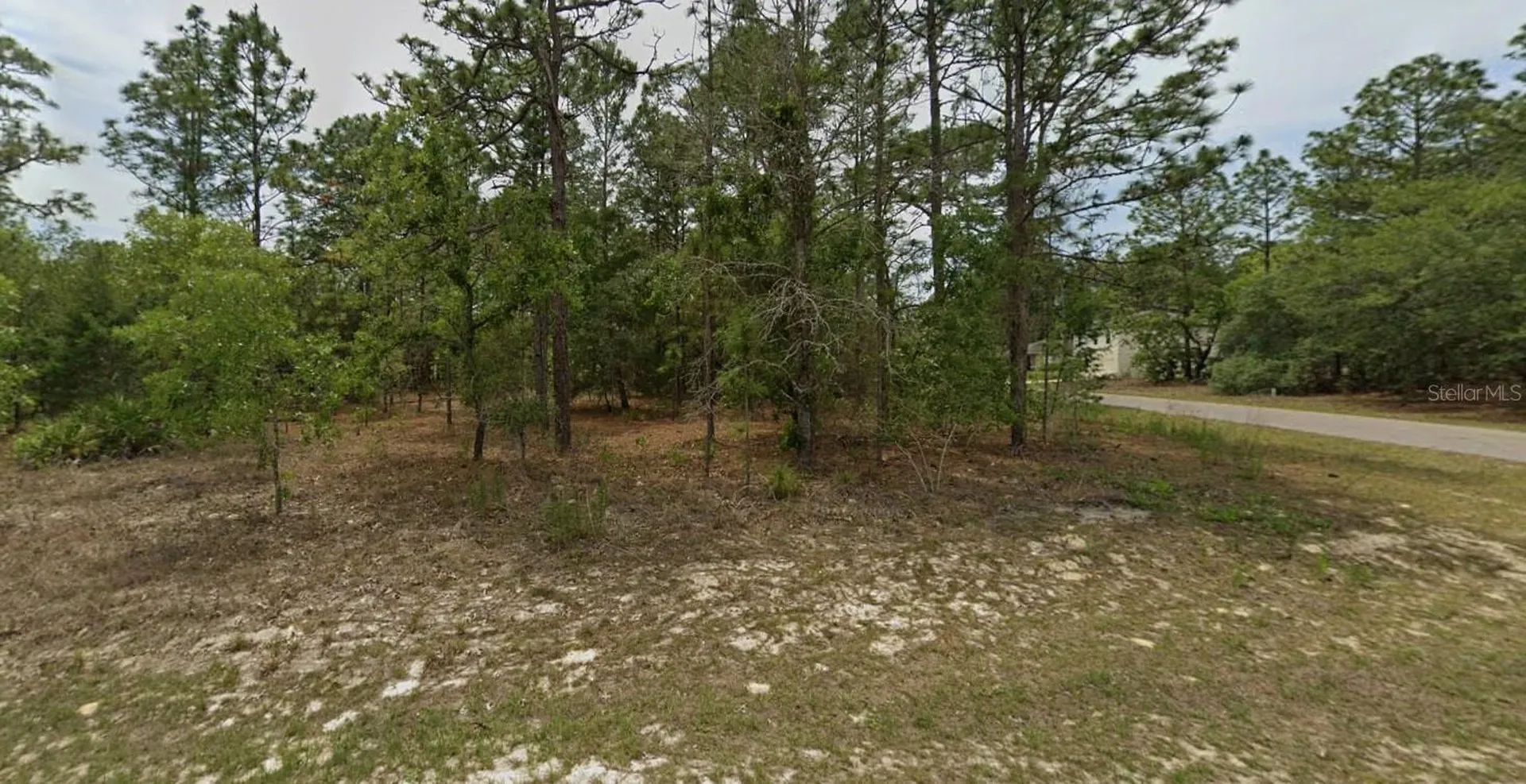 7488 N Galt Point Citrus Springs FL 34434