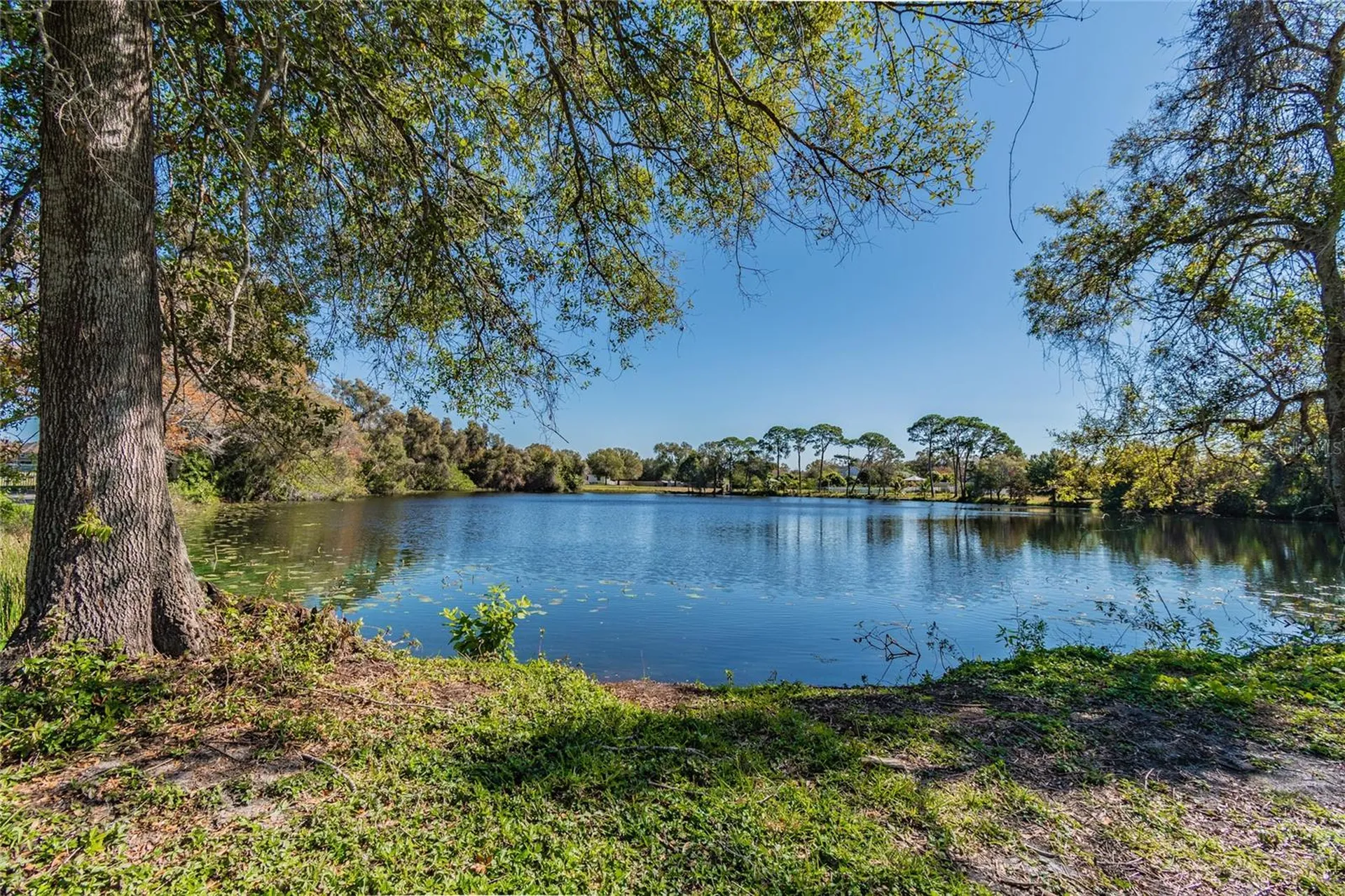 5750 60th Avenue N St Petersburg FL 33709