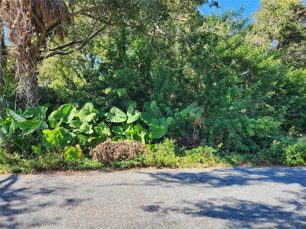 00 Atis Street New Port Richey FL 34653