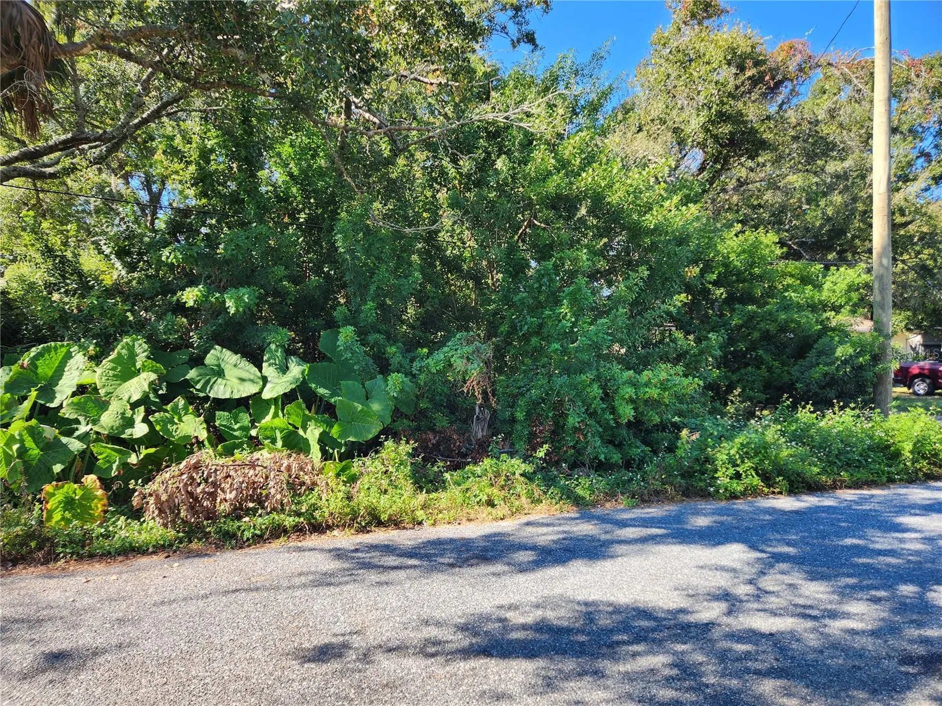 00 Atis Street New Port Richey FL 34653