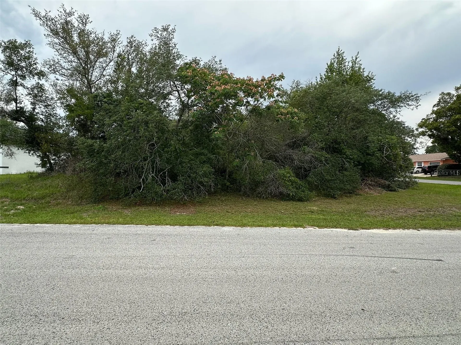 SW 38th Circle Ocala FL 34473