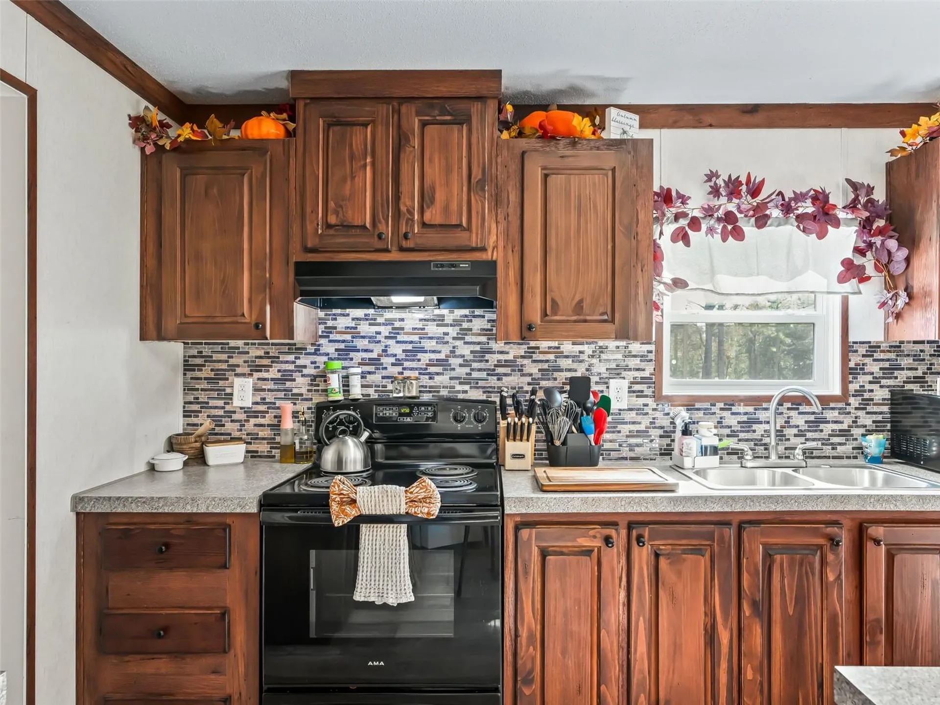 16610 SW 53rd Place Ocala FL 34481
