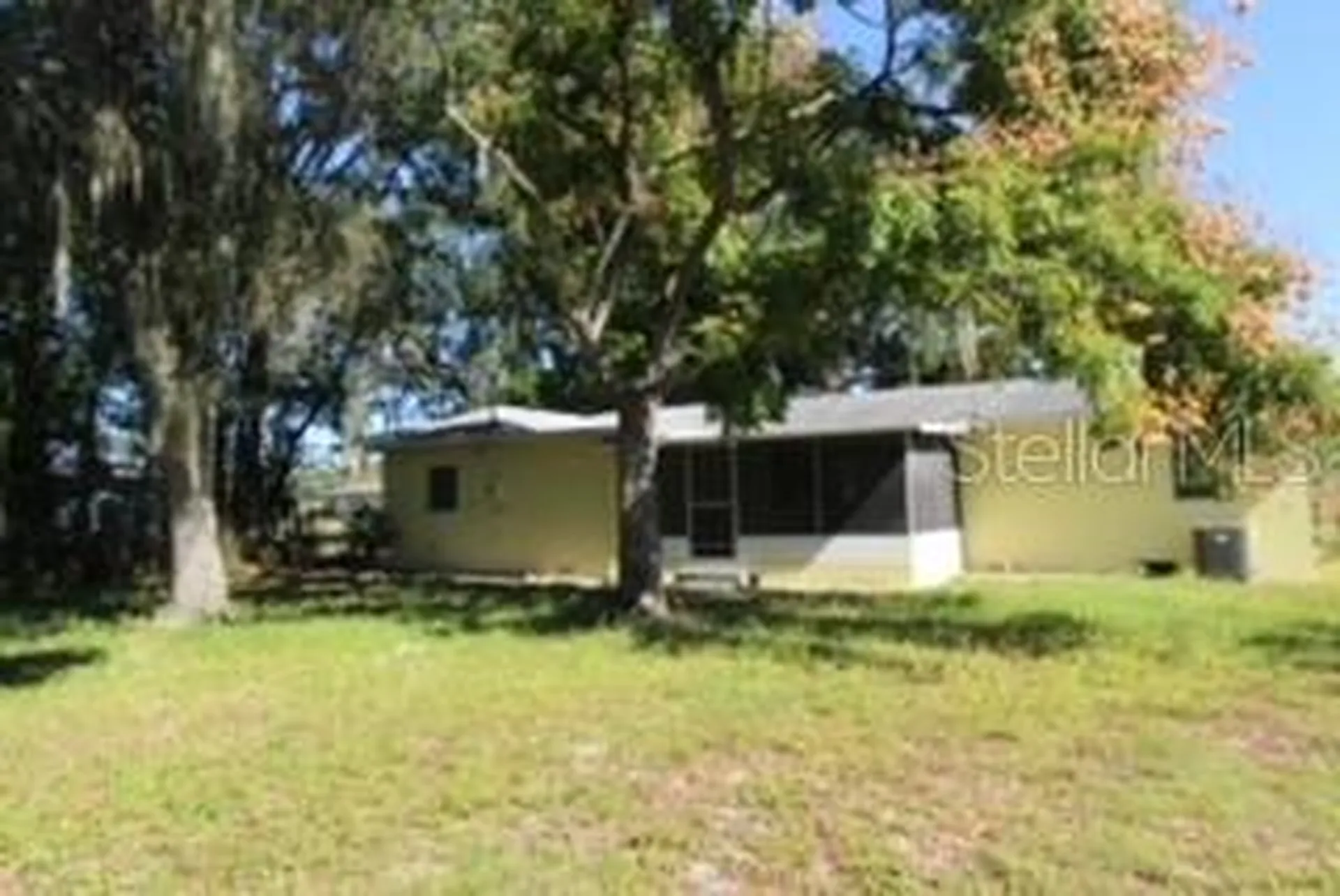 905 Marion Drive Mount Dora FL 32757