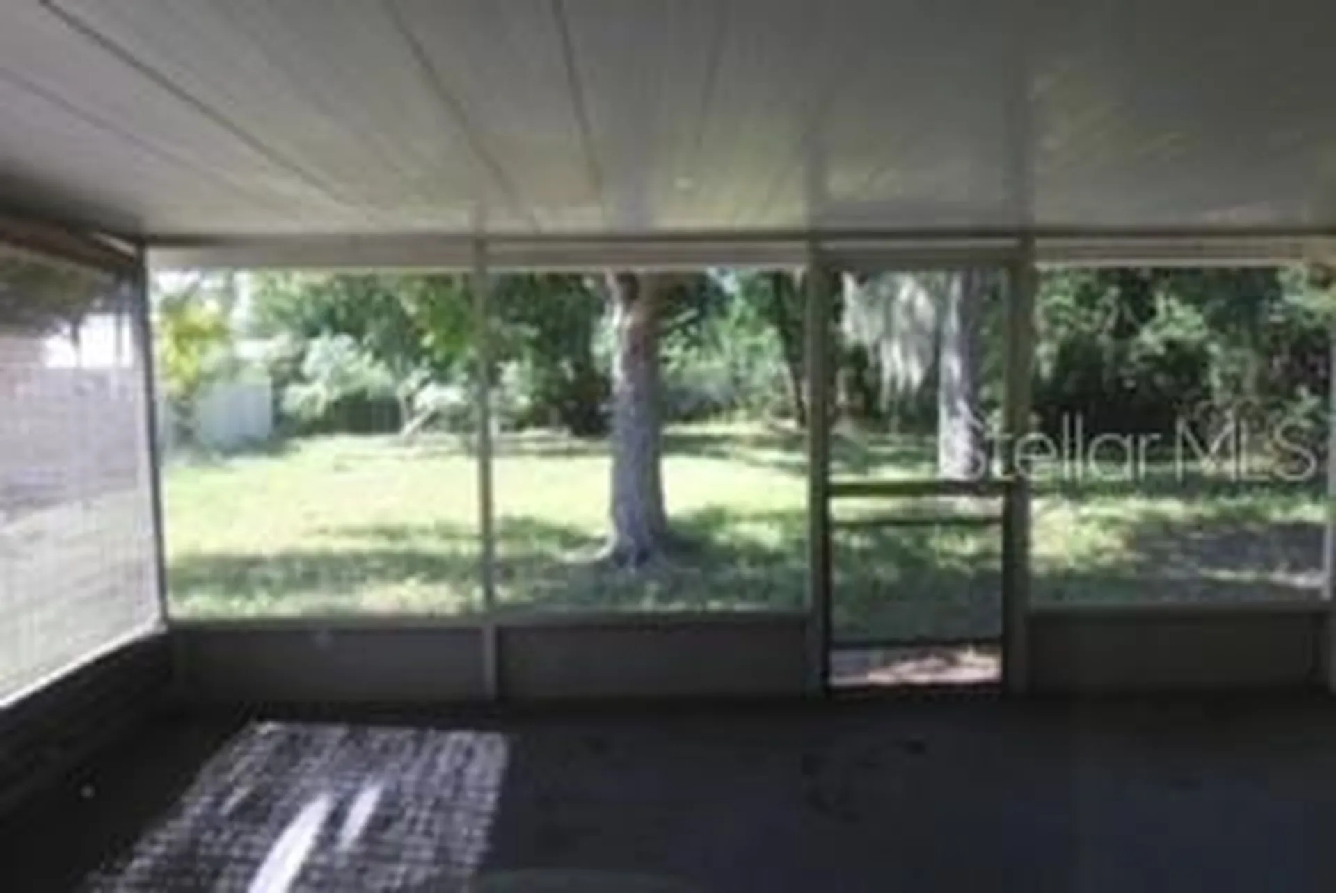 905 Marion Drive Mount Dora FL 32757