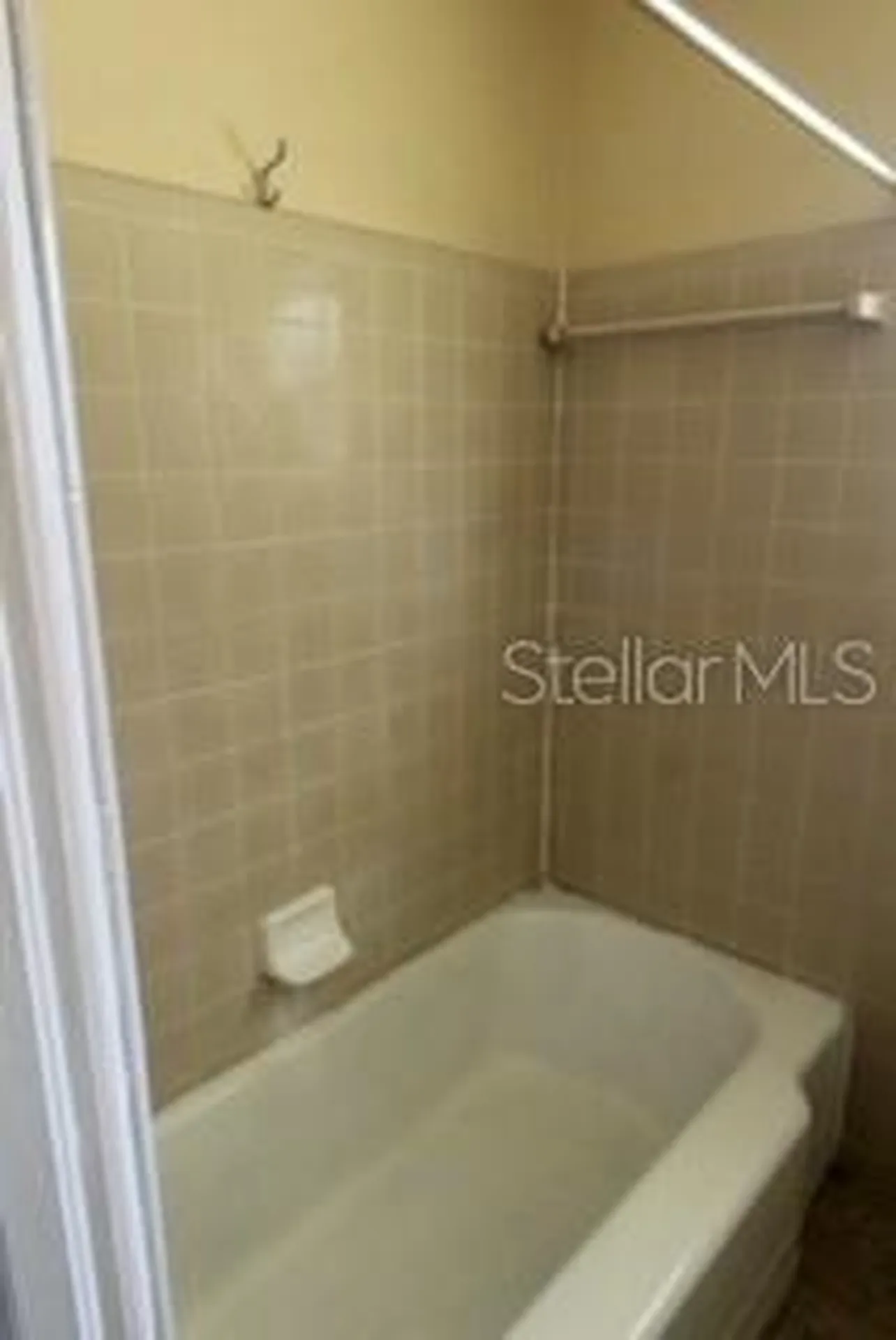905 Marion Drive Mount Dora FL 32757