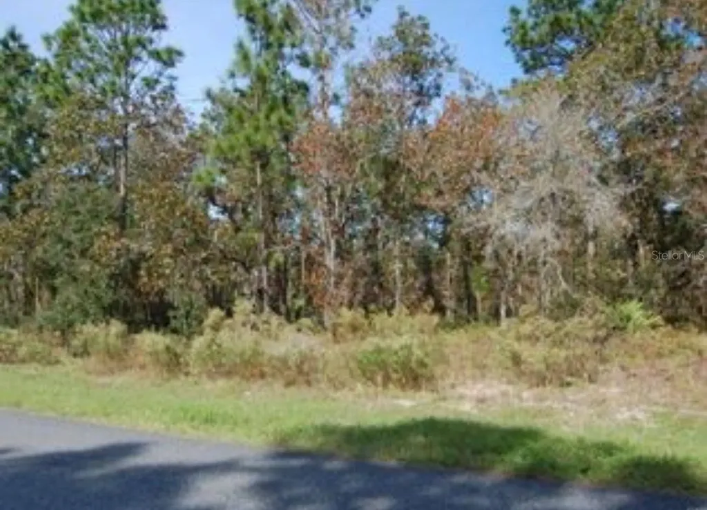 2084 W Riley Drive Citrus Springs FL 34434