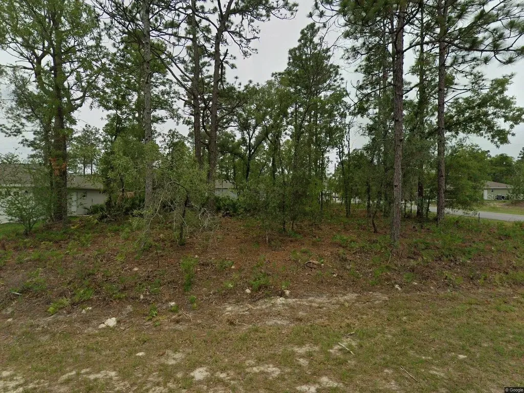 2084 W Riley Drive Citrus Springs FL 34434