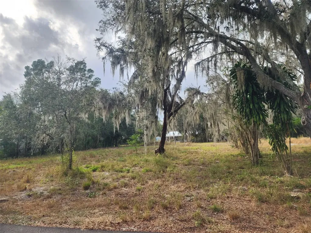 1409 Wilkinson Drive Plant City FL 33566