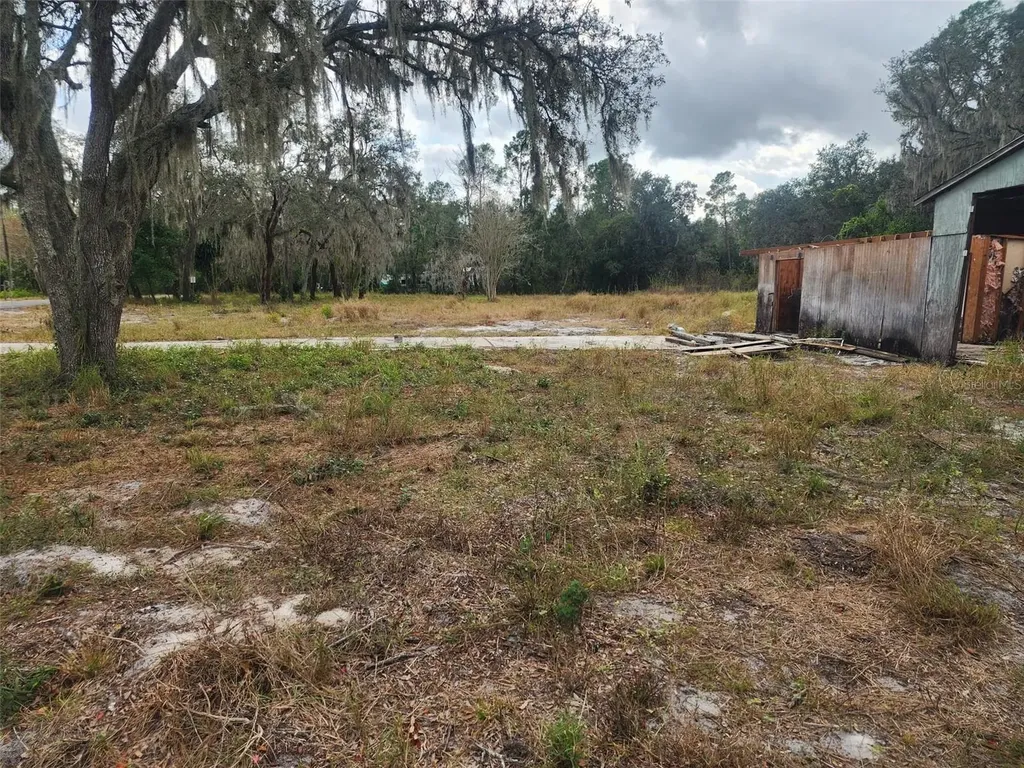 1409 Wilkinson Drive Plant City FL 33566