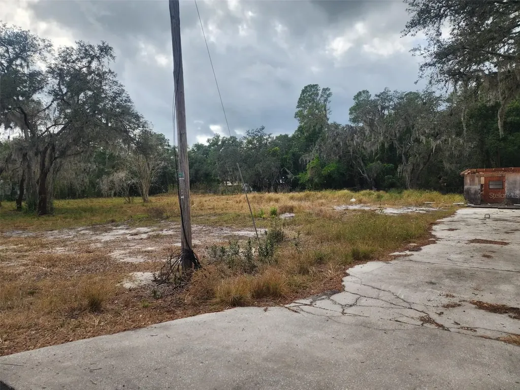 1409 Wilkinson Drive Plant City FL 33566