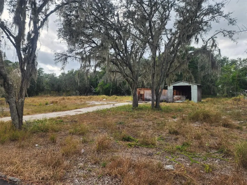 1409 Wilkinson Drive Plant City FL 33566