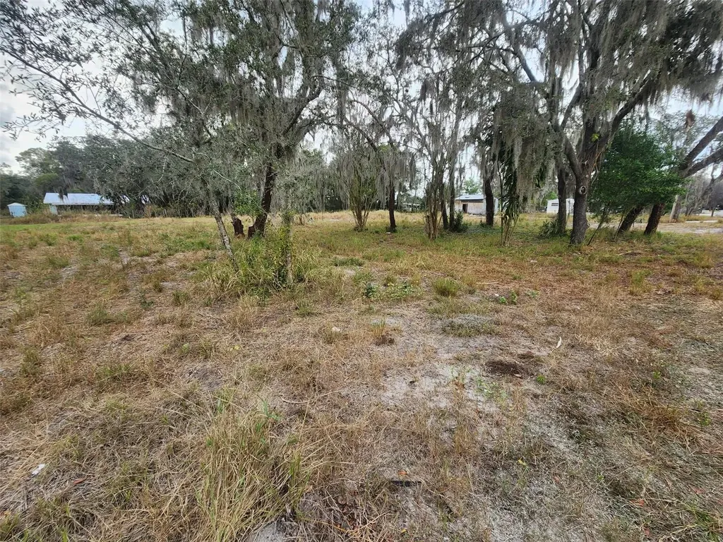 1409 Wilkinson Drive Plant City FL 33566