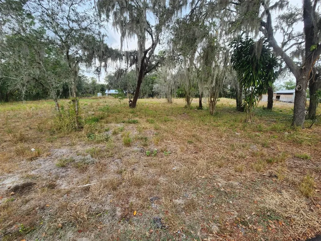 1409 Wilkinson Drive Plant City FL 33566