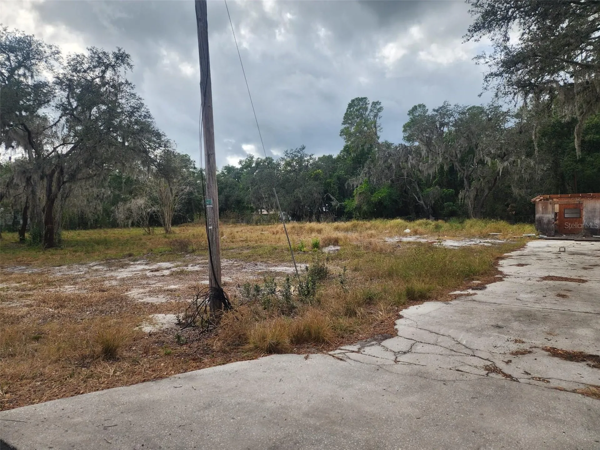1409 Wilkinson Drive Plant City FL 33566