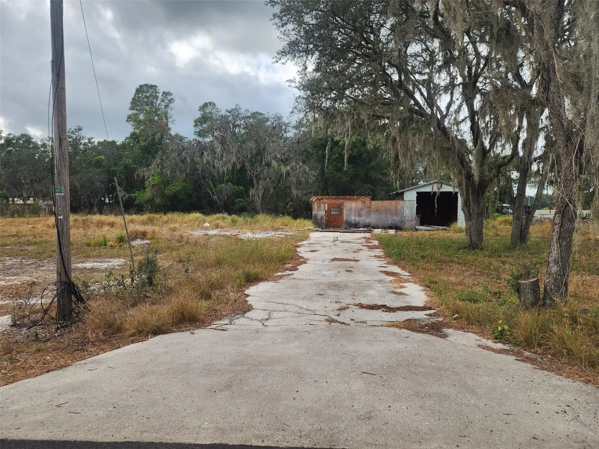 1409 Wilkinson Drive Plant City FL 33566
